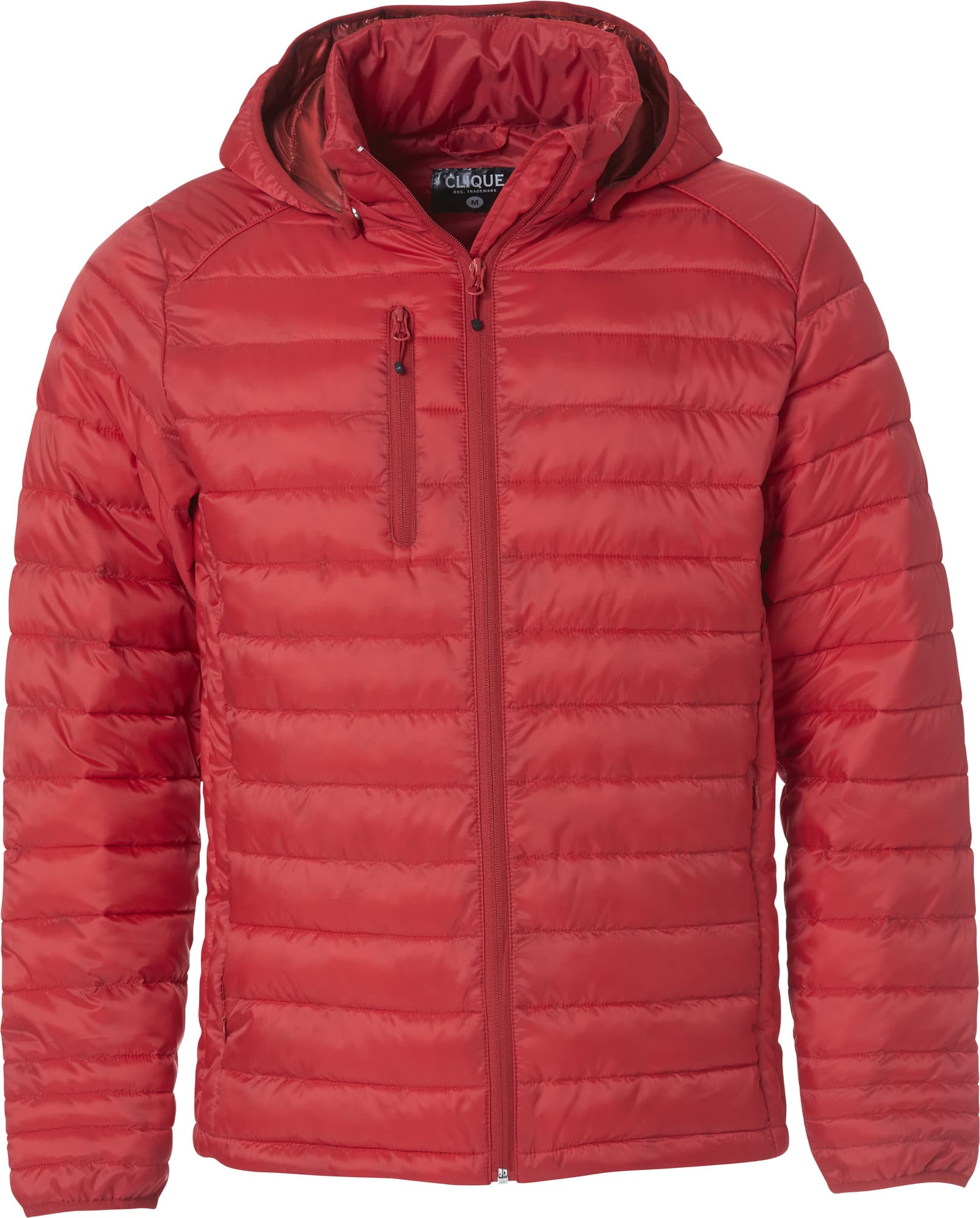 Hudson Junior – bilde 1