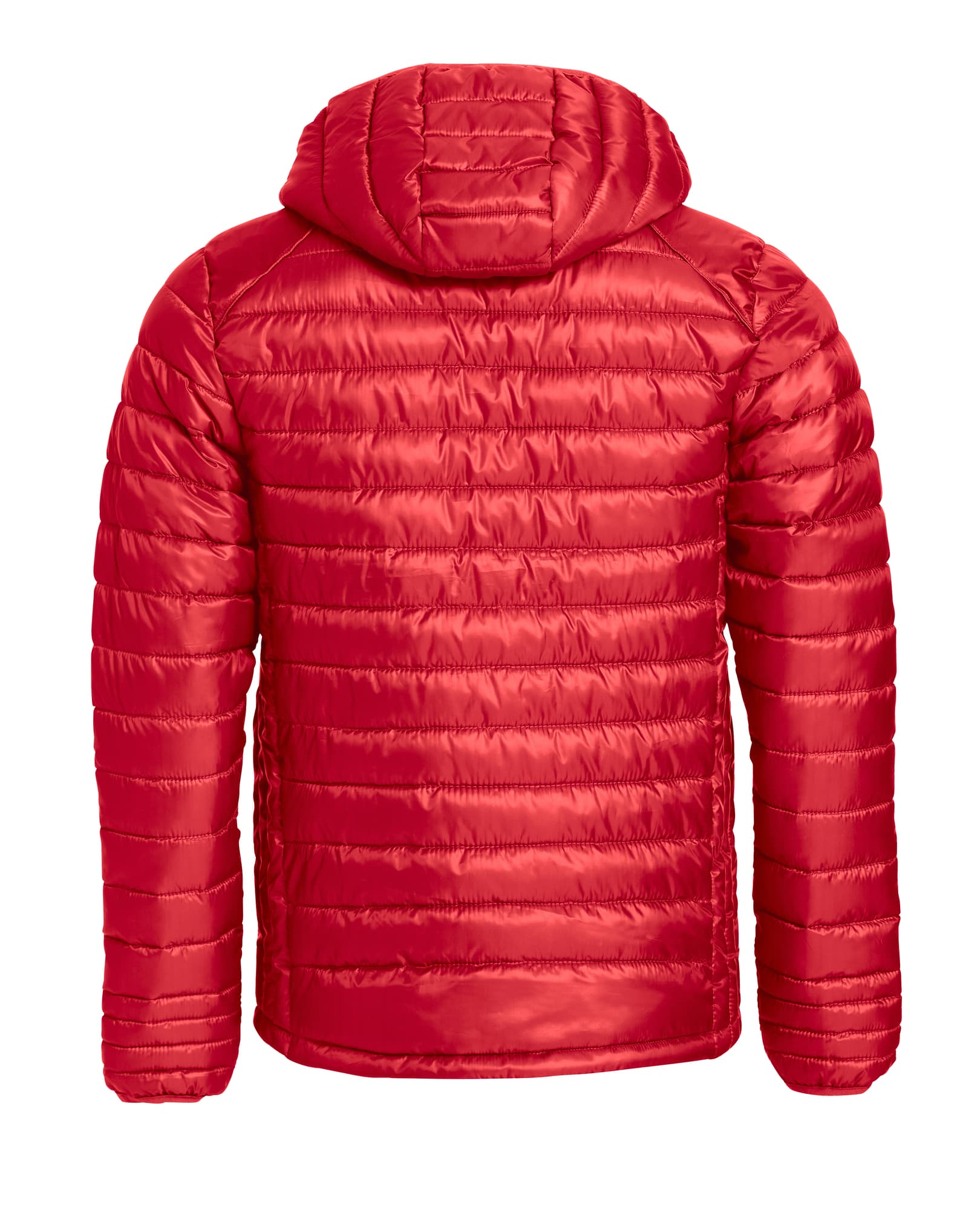 Hudson Junior – bilde 2